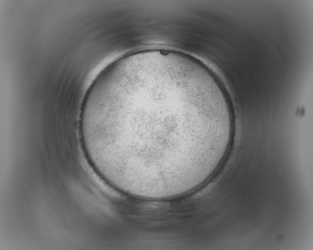 X0000112511333200909141150