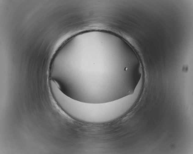 X0000112511334200909141150