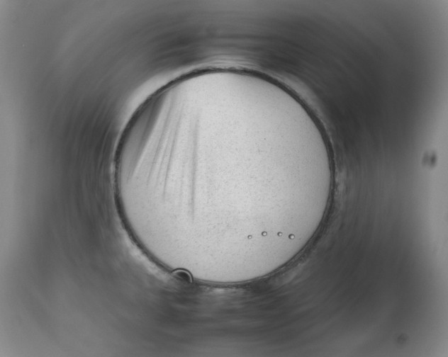 X0000112511335200909141150