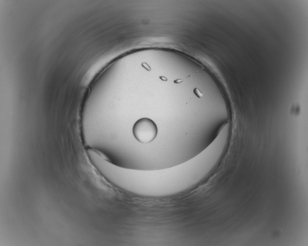 X0000112511336200909141150