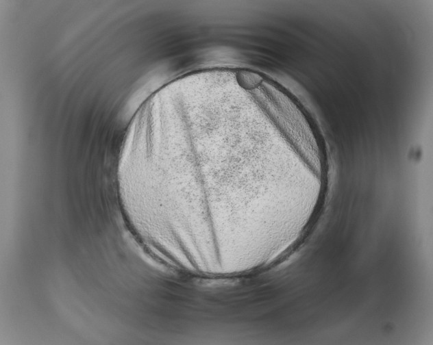 X0000112511337200909141150