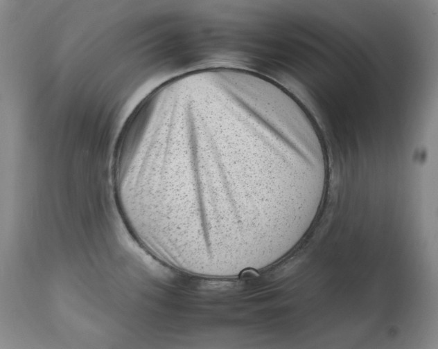 X0000112511339200909141150