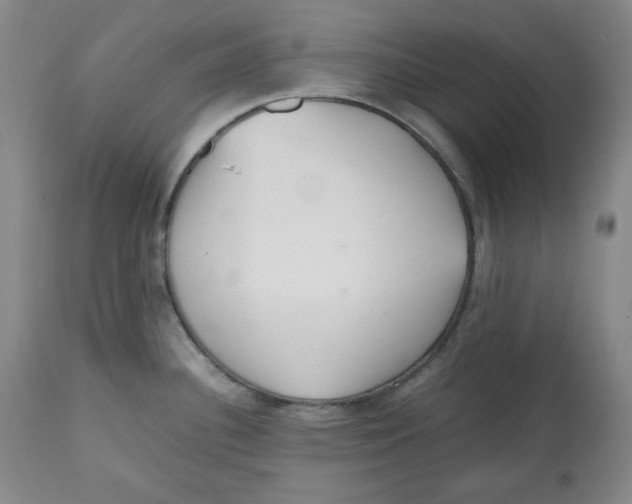 X0000112511340200909141150