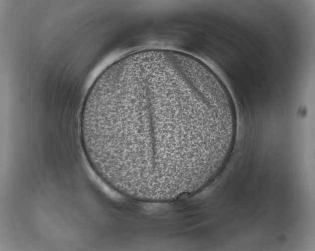 X0000112511341200909141150