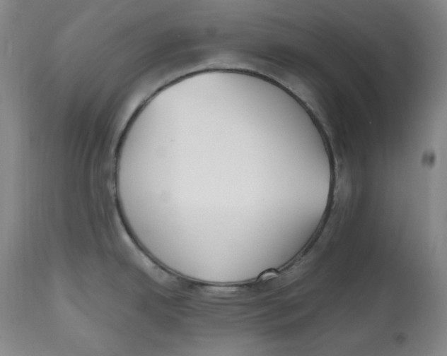 X0000112511342200909141150