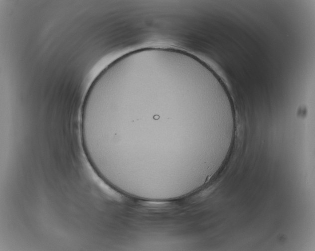 X0000112511343200909141150