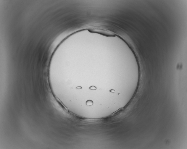 X0000112511344200909141150