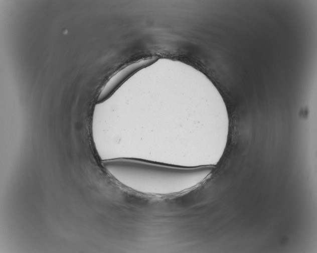 X0000112511345200909141149