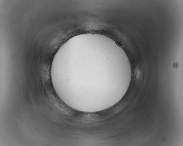 X0000112511348200909141149