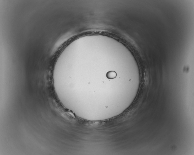 X0000112511352200909141149