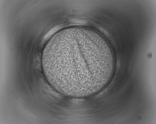 X0000112511354200909141149