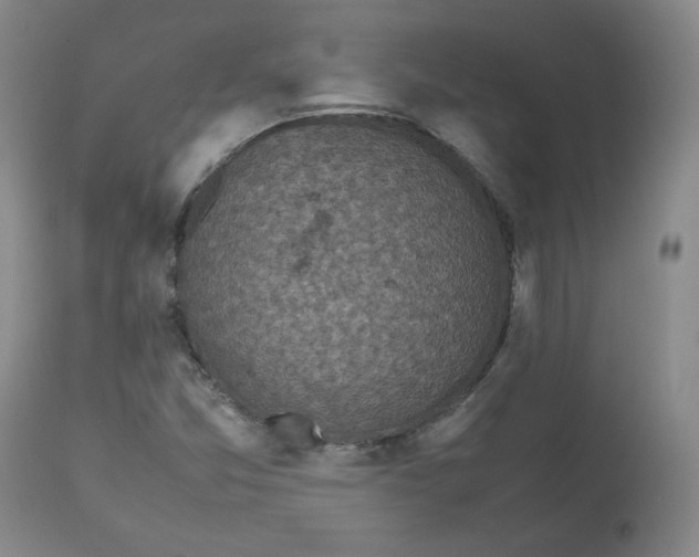 X0000112511357200909141149