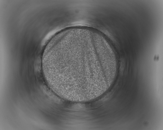 X0000112511358200909141149