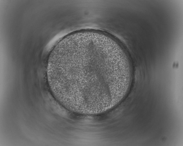 X0000112511359200909141149