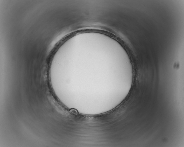 X0000112511360200909141149