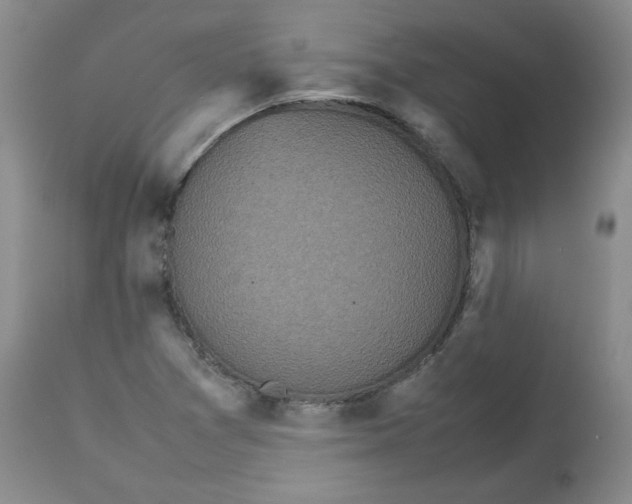 X0000112511361200909141149