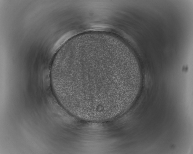 X0000112511362200909141149