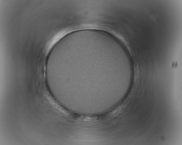 X0000112511365200909141149