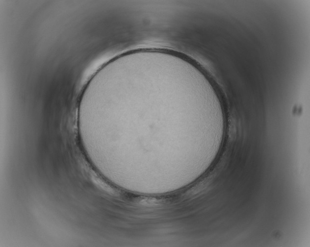 X0000112511366200909141149