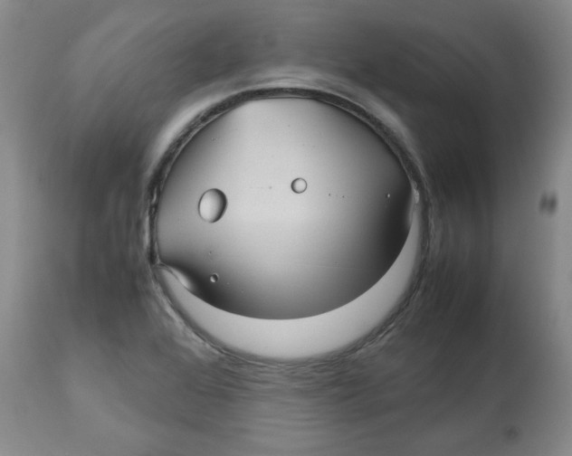 X0000112511368200909141149