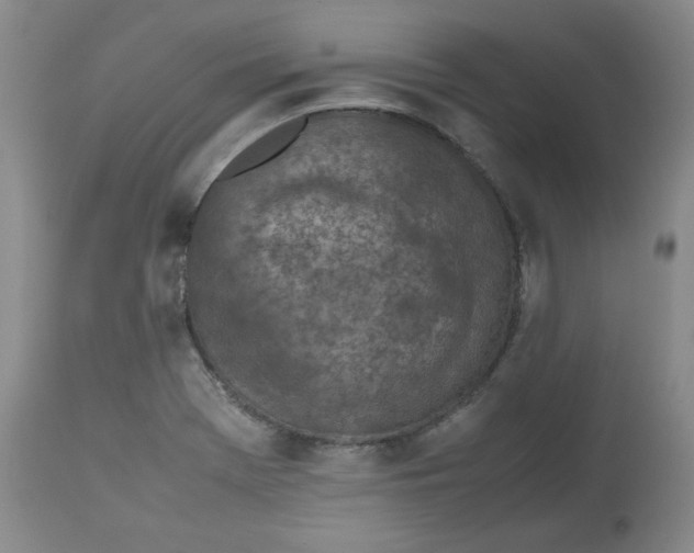 X0000112511369200909141149