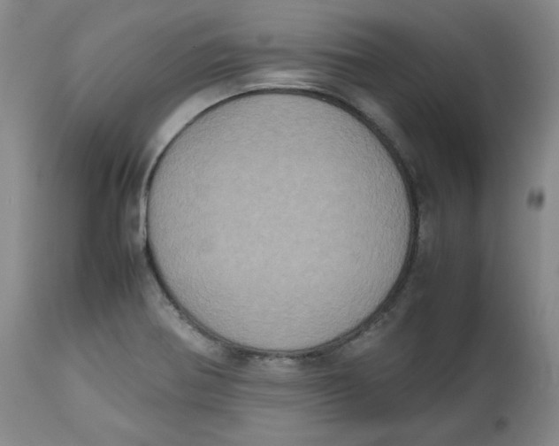 X0000112511370200909141149