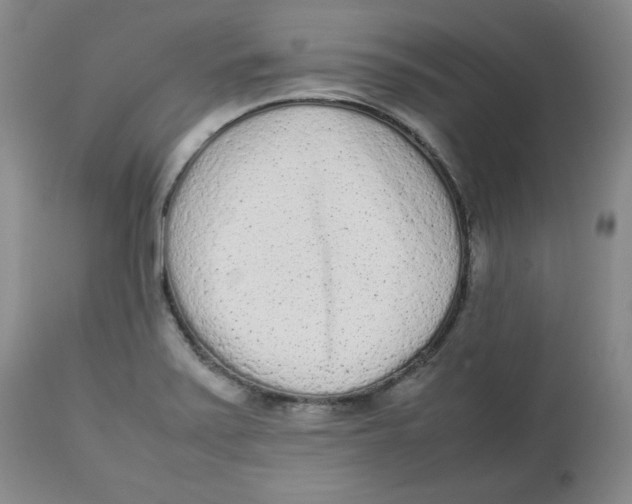 X0000112511371200909141149