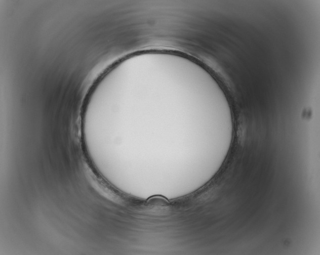 X0000112511372200909141149