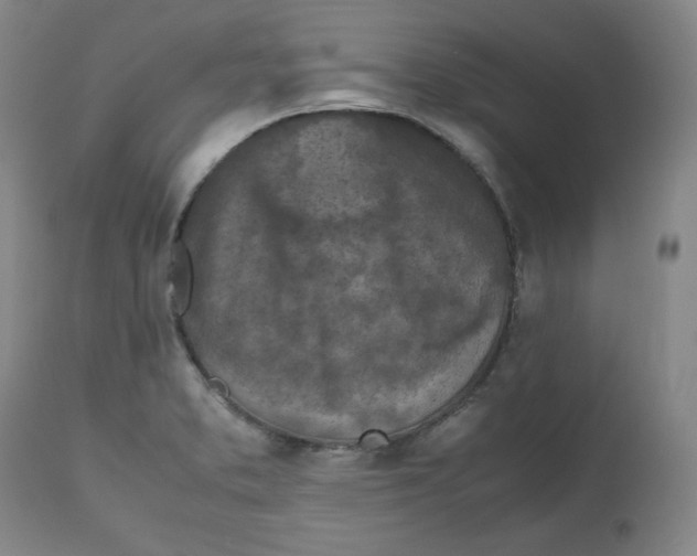 X0000112511373200909141149