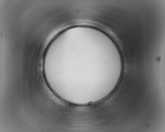 X0000112511376200909141149