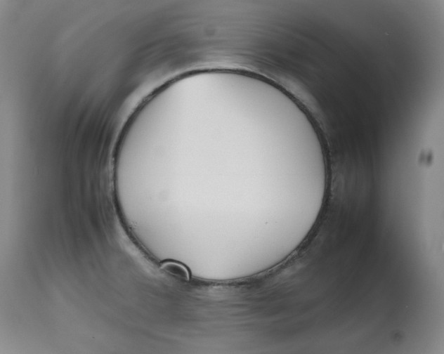 X0000112511380200909141149