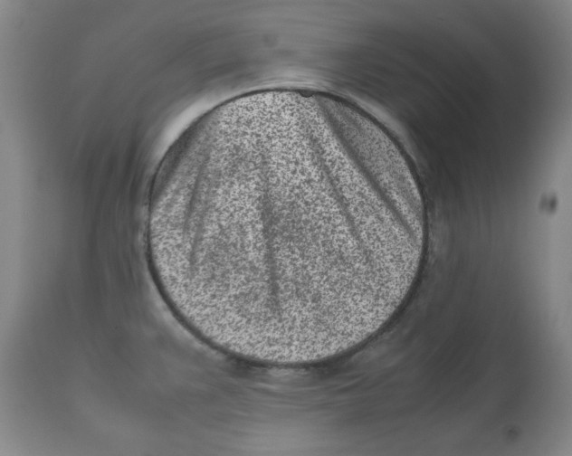 X0000112511383200909141149