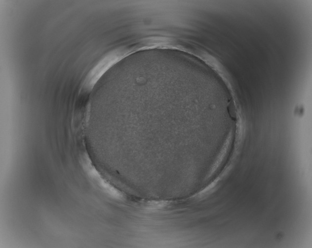 X0000112511385200909141149