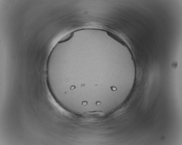 X0000112511387200909141148