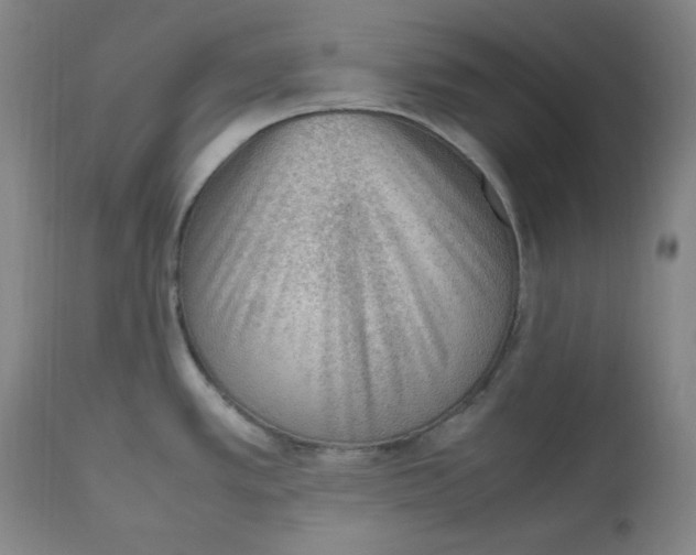 X0000112511389200909141148