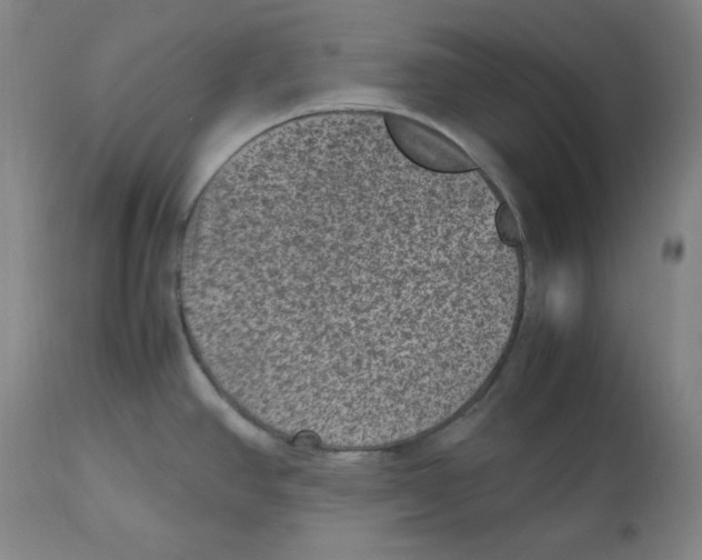 X0000112511390200909141148