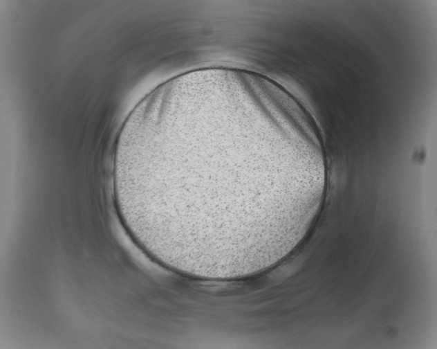 X0000112511391200909141148