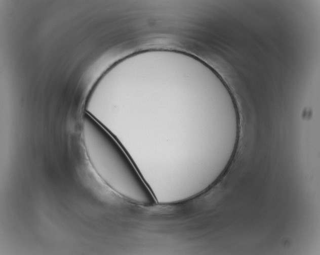 X0000112511392200909141148