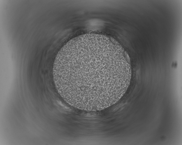 X0000112511393200909141148