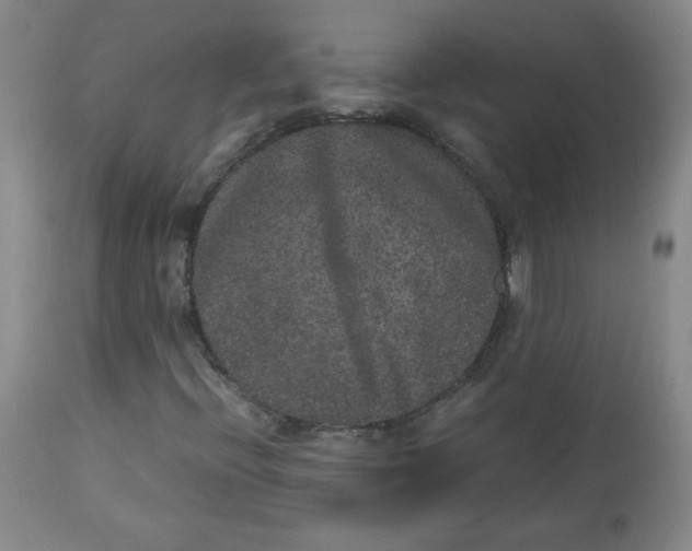 X0000112511396200909141148