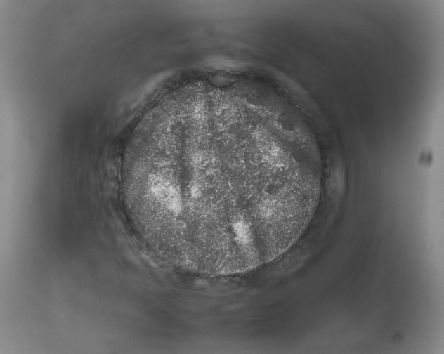 X0000112511397200909141148