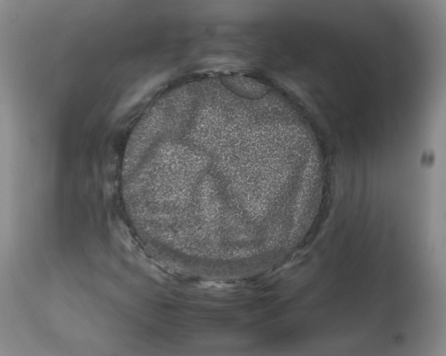 X0000112511399200909141148