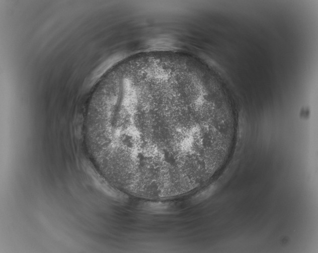 X0000112511401200909141148