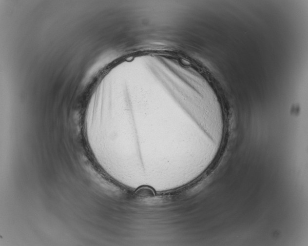 X0000112511402200909141148