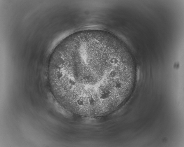 X0000112511405200909141148