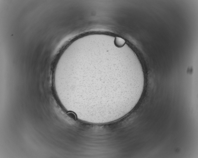 X0000112511408200909141148