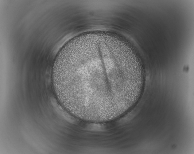 X0000112511409200909141148