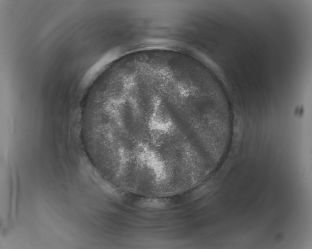 X0000112511411200909141148