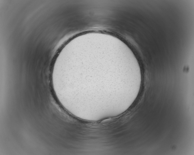 X0000112511412200909141148