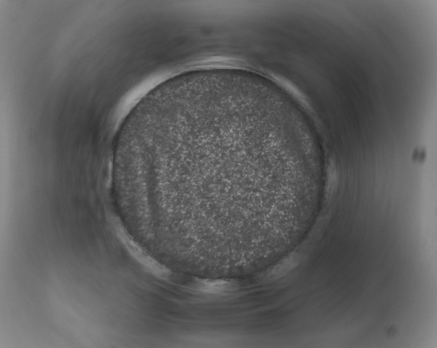 X0000112511413200909141148